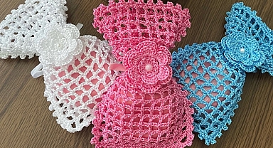Lace Mesh Pouch