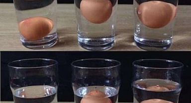 Five Ways to Check if an Egg is Fresh